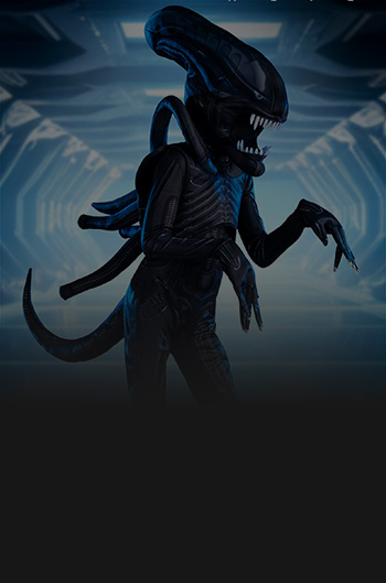 A dimmed image of one of our made by us costumes